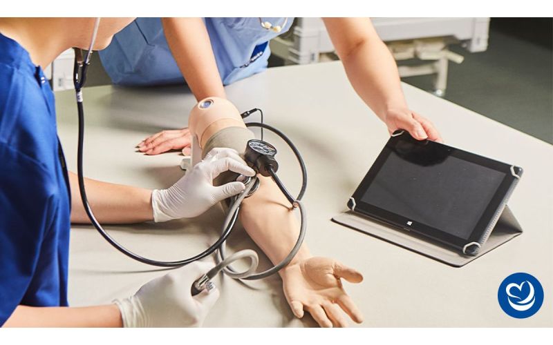 BT Inc. Adult Blood Pressure/Pulse Assessment Simulator