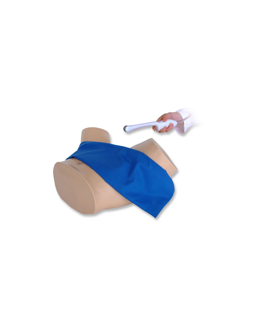 Blue Phantom Intrauterine And Ectopic Pregnancy Transvaginal Ultrasound Model