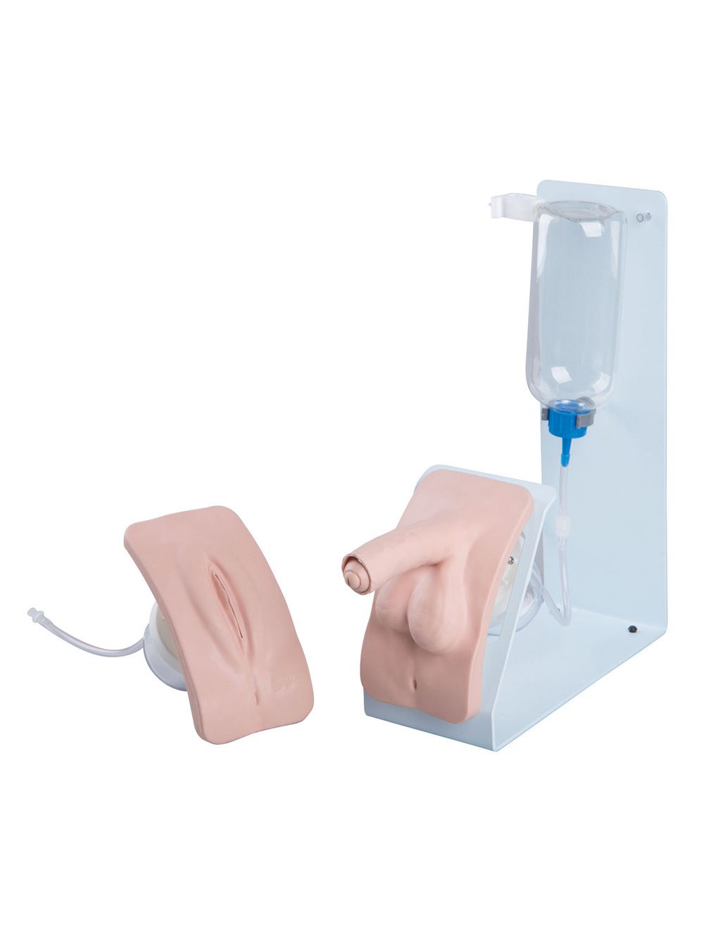 3b Scientific Catheterization Simulators Basic 3548