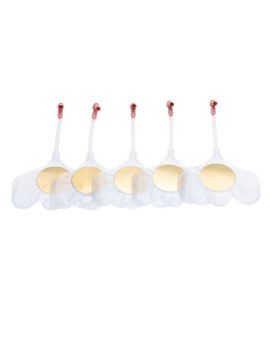 set of 5 lung bags with connectors