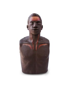 Brayden OBI Advanced with red lights illuminated