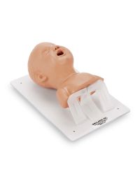 Overall view of Simulaids infant airway management trainer, from head to shoulders, mounted on a board