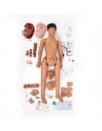 Life/form® DANi Teen & Young Adult Advanced Patient Skills Trainer