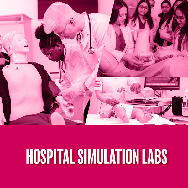 Hospital Simulation Centers Learning Hub
